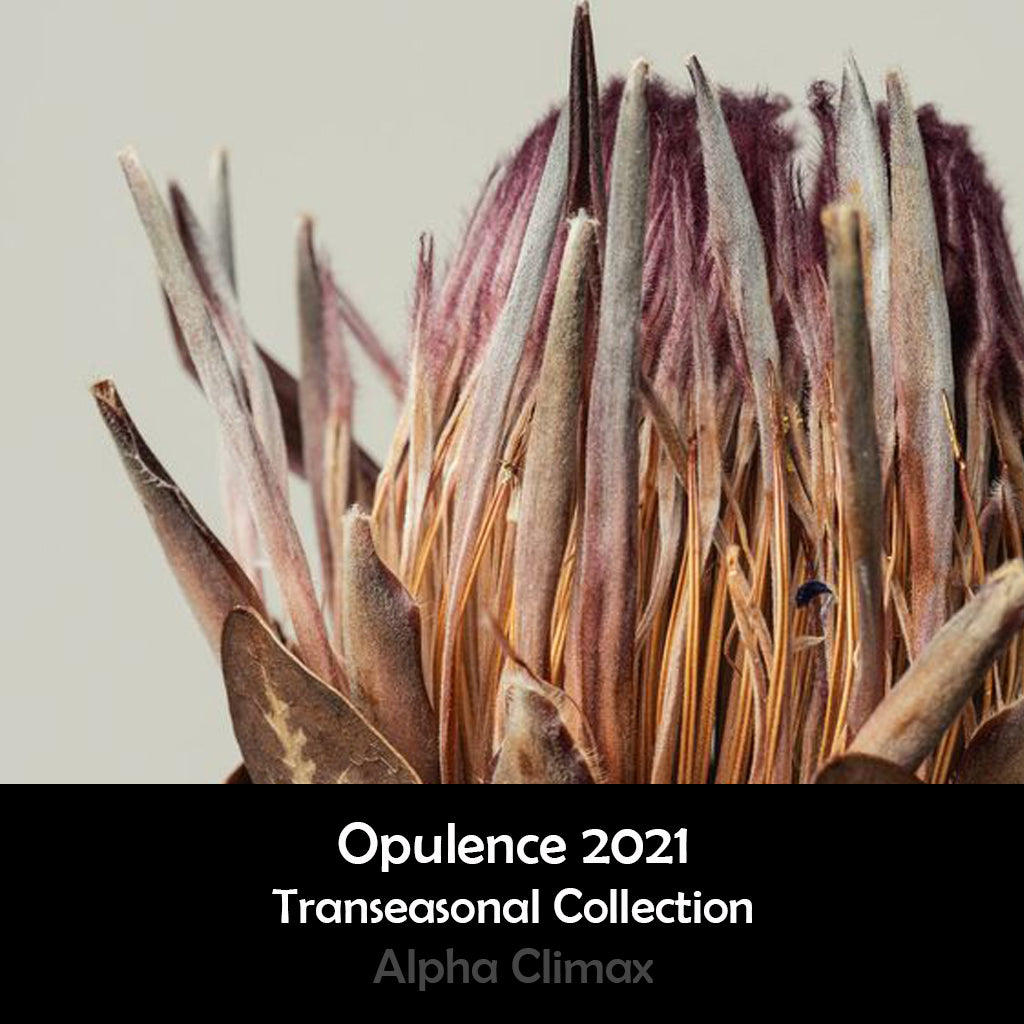 Opulence Collection